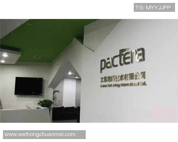 广州排球队防反战术解析与热点动态深度剖析