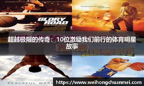 中欧体育官网