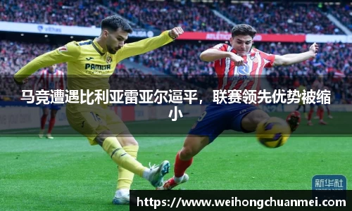 zoty中欧体育