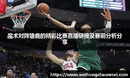 zoty中欧体育