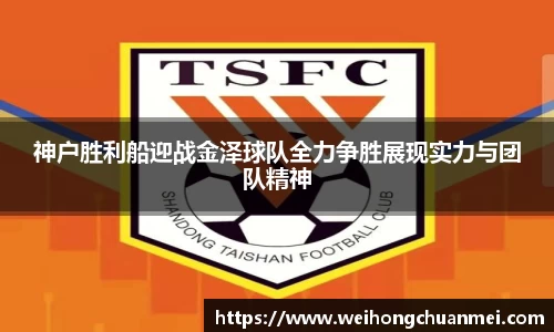 中欧体育官网