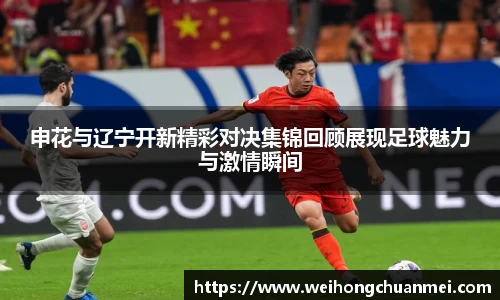 中欧体育