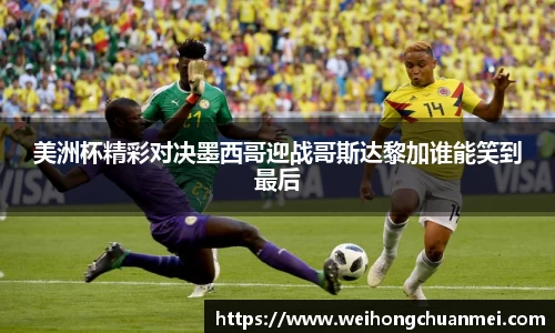 中欧体育官网