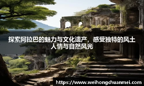 中欧体育