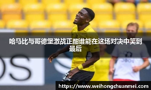 zoty中欧体育官方网站
