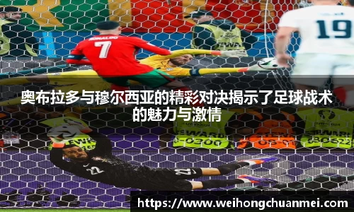中欧体育官网
