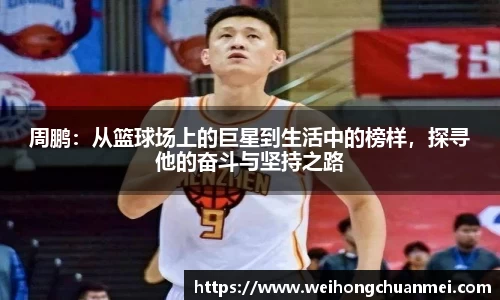 zoty中欧体育