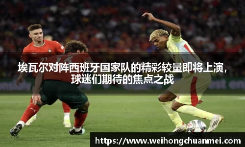 zoty中欧体育官方网站
