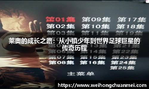 中欧体育