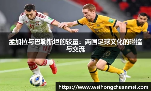 zoty中欧体育