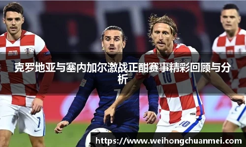 中欧体育
