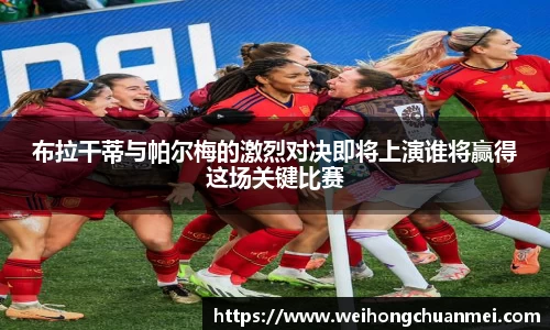 中欧体育