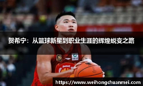 贺希宁：从篮球新星到职业生涯的辉煌蜕变之路