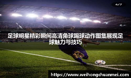 zoty中欧体育