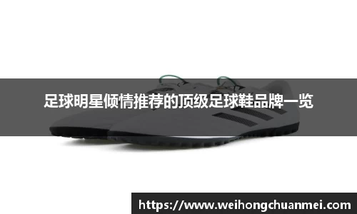 中欧体育官网